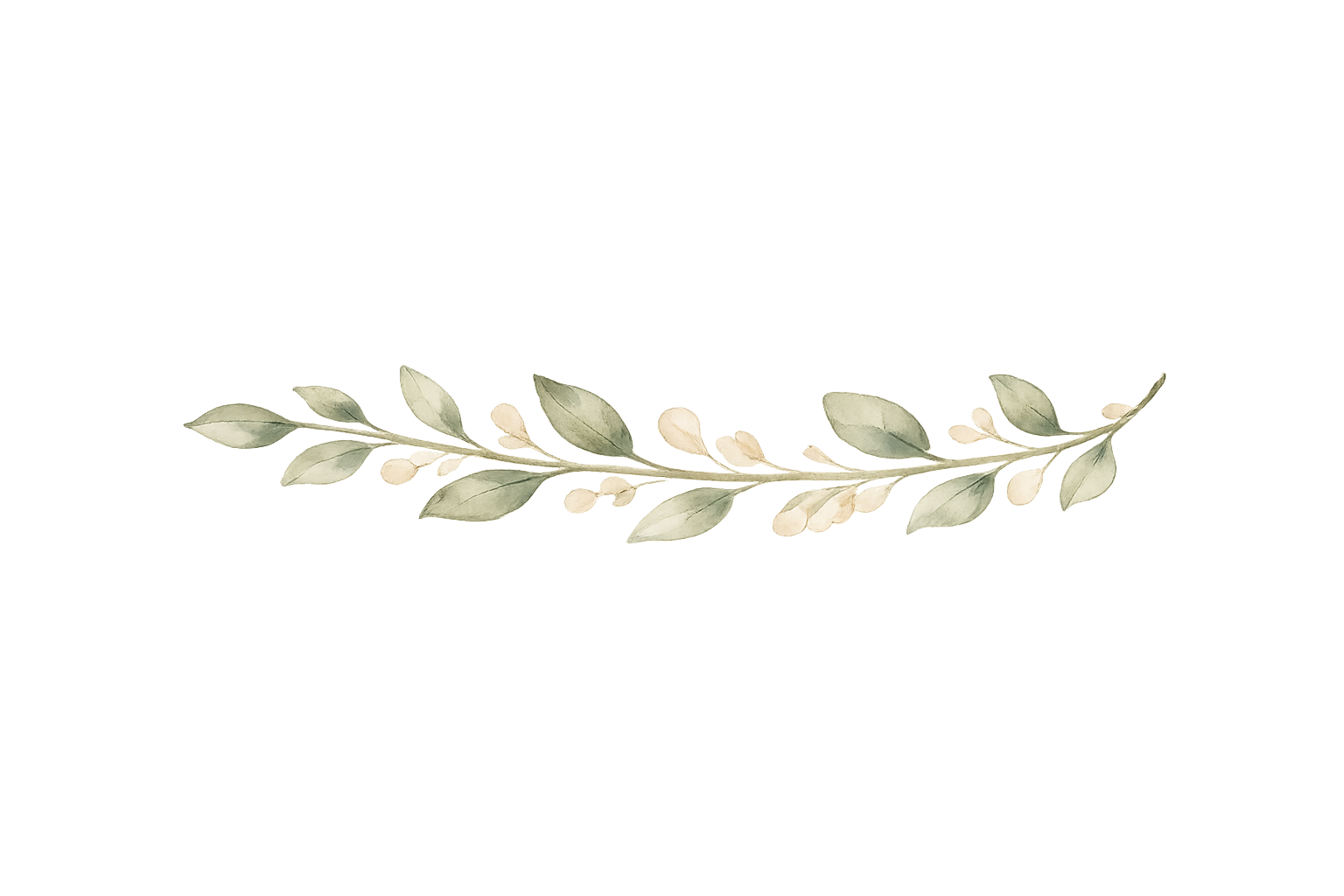 Watercolor botanical branch